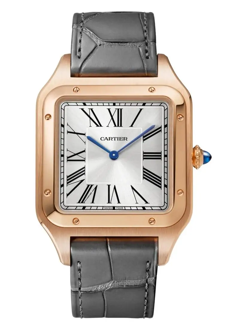 Cartier w2sa0011