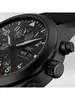 IWC Pilot's Watches IW 371815 фото